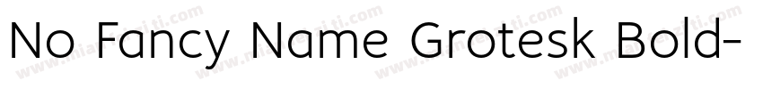 No Fancy Name Grotesk Bold字体转换